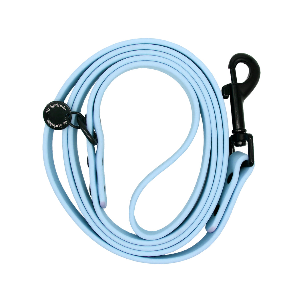 Waterproof PVC Leash - Blue
